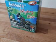 JBL, Action Air, Mystery Diver - Rheine