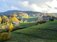 Großzügiges Zwei-/Dreifamilienhaus mit großer Doppelgarage in äußerst bevorzugter Panoramawohlage - Bühlertal