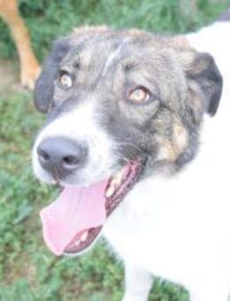 Pflegeleicht und familiär ... Wiliam - Berlin