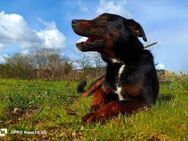 JACOB 💙 sucht Familienanschluss - Fahrenzhausen