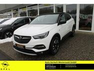 Opel Grandland 1.2 Turbo EU6d 120 Jahre Kamera Navi Winterp. AHK-abnehmbar LED Kurvenlicht - Niederahr