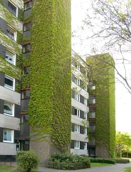 Demnächst frei! 4-Zimmer-Wohnung in Duisburg Neumühl - Duisburg