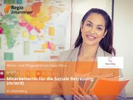 Mitarbeiter/in für die Soziale Betreuung (m/w/d) - Gilserberg