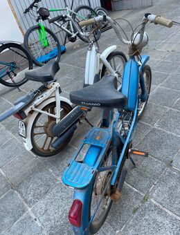 Piaggio Ciao - Riedstadt Riedstadt