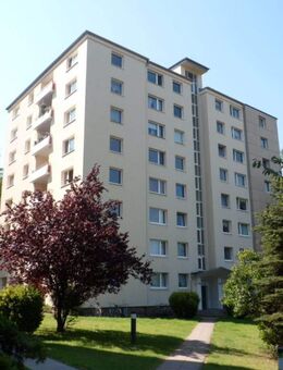 Schöne und großzügige Wohnung in zentraler Lage von Buxtehude - Buxtehude