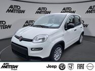 Fiat Panda, 1.0 Hybrid TFT Tacho, Jahr 2022 - Herford (Hansestadt)