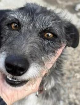 Kämpferin Wanda wartet auf ihre Familie - München