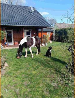 TREBBIN-GROSSBEUTHEN: Einige Seen, traumhafte - ländliche Lage und ein tolles Haus! - Trebbin
