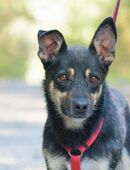 Avolia – Hoffnung auf ein neues Leben in 63924