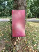 Space inferno Acryl Leinwand (29,5 cm x 60 cm) in 47058