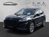 Ford Kuga, ST-Line X FHEV Sportpaket El Panodach digitales, Jahr 2023 - Bremerhaven