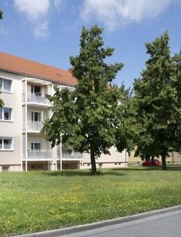 Einziehen und Sparen+ 2 Kaltmieten geschenkt - Halberstadt