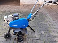 Motorhacke zu verkaufen - Heringen (Helme) Uthleben