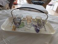Schnapsgläser farbig auf Ständer mit Tablett Vintage aus den 60ziger Jahren - Aßling