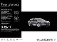 Skoda Octavia, 2.0 TDI Combi Selection, Jahr 2022 - Haßfurt