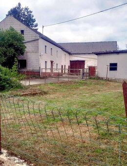 Bauernhaus mit Stallungen und Scheune auf großem Grundstück, in Heisdorf, Verbandsgem. Prüm in RLP - Heisdorf