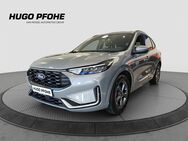 Ford Kuga, 1.5 l ST-Line X EcoBoost Sc, Jahr 2022 - Oldenburg (Holstein)