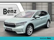 Skoda Enyaq, 80 SUITE STNDHZ, Jahr 2021 - Laupheim