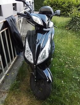 25er Mofaroller 1jahr Jung wenig kilomerer - Bottrop