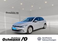 VW Golf, 1.5 TSI VIII Life ParkAss 4xSHZ STH, Jahr 2020 - Bad Arolsen