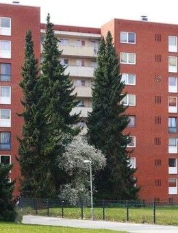 Perfekt für Familien: familienfreundliche 3-Zimmer-Wohnung - Lüneburg