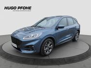 Ford Kuga, 2.0 ST-Line EcoBlue 88kW Auto, Jahr 2023 - Oldenburg (Holstein)