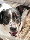 DENY - meine Besonderheiten akzeptieren in 51491