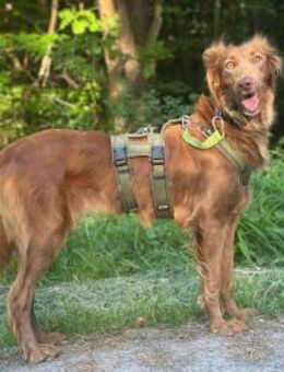 Lina möchte das Leben entdecken - Lich