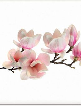 Artland Glasbild Magnolie, Blumen (1 St), in verschiedenen Größen