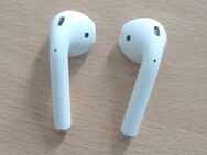 Apple Airpods 2. Generation Top Zustand - München Schwabing-Freimann