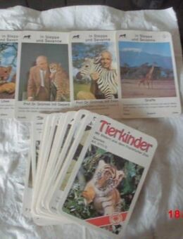 Kartenspiel Quartett Tierkinder Frankfurter Zoo Professor Grzimek, Schiffe,Flugzeuge,1960 - Bottrop