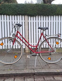 28 zoll damen Fahrrad,fahrrad, rad - Gräfelfing