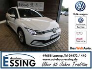 VW Golf Variant, 2.0 TDI Life, Jahr 2022 - Lastrup