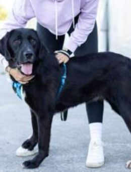 Jake Sully sucht seine eigene Familie - München