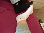 M18 und m18 verkaufen Bilder socks u videos - Hamburg