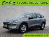 Ford Kuga, 1.5 l Titanium Ecoboost # #, Jahr 2020 - Weiden (Oberpfalz)