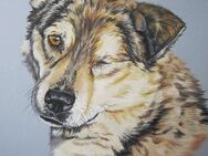 Tierzeichnung, Tiermalerei, Tierportrait von Hund, Katze, Pferd ... - Hamburg