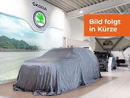 Skoda Karoq, 1.0 TSI Soleil Klimaa, Jahr 2019 - Langenhagen