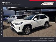 Toyota RAV 4 2.5 4x2 Team D. Panoramadach, AHK abnehmbar, - Sulingen