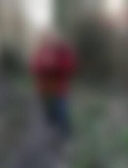 GEN*** - Heidenheim (Brenz)