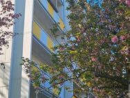 Nachmieter für 3 Raum Wohnung in Dresden Gorbitz gesucht - Dresden