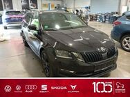 Skoda Octavia, 2.0 TDI Com Style ViCo FernA, Jahr 2020 - Eggenfelden