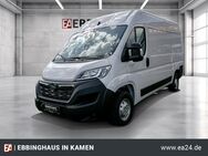 Opel Movano, 7.7 Kasten HKa L2H2 t140 3 C Cargo Edition GEWERBEDEAL 290 netto, Jahr 2024 - Kamen