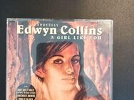 A Girl Like You von Edwyn Collins | CD - Essen