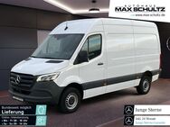 Mercedes Sprinter, 317 L2H2 Kasten hoch lang, Jahr 2023 - Sonnefeld