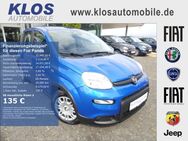 Fiat Panda, 1.0 HYBRID GSE 70PS CITY PAKET, Jahr 2022 - Koblenz