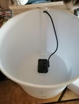 Verkaufe hier einen nur einmal kurz ausprobierten Trinkbrunnen für Katzen oder kleine Hunde - Dortmund Nordstadt