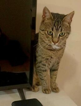 Wasja für Jedermann - Augsburg