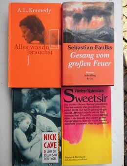 Zeitgenössische Literatur Romane Bestseller 32 Bücher zus. 5,- - Flensburg