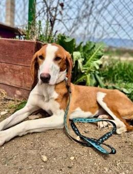 Sandra - lebensfroh & menschenbezogen - Berlin